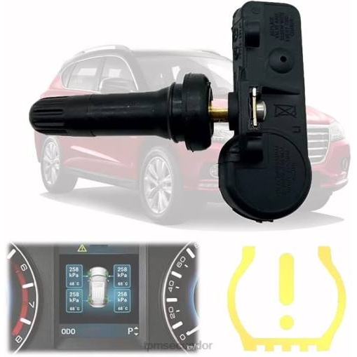 tpms haval/gwm el sensor de presión 3641100xku00a 433mhz HLNP1692 TPMS significado